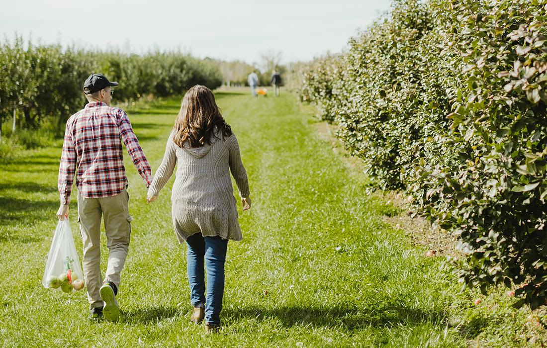 Bella Vita Vacation Rentals Bella Vita Vacation Rentals